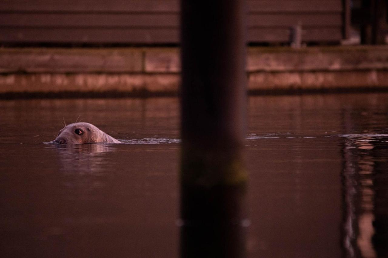 Im-Jaich Wasserferienwelt Lauterbach  Bagian luar foto